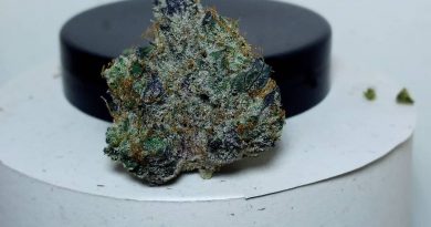 rosebud kush by rosebud growers strain review by pdxstoneman 2