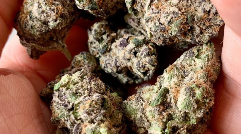 runtz by clearwater buds strain review by austnpickett