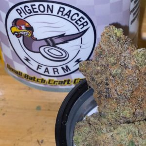 samoa cookies by pigeon racer farms strain review by trunorcal420