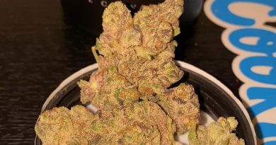 sherb crasher by veritas strain review by no.mids