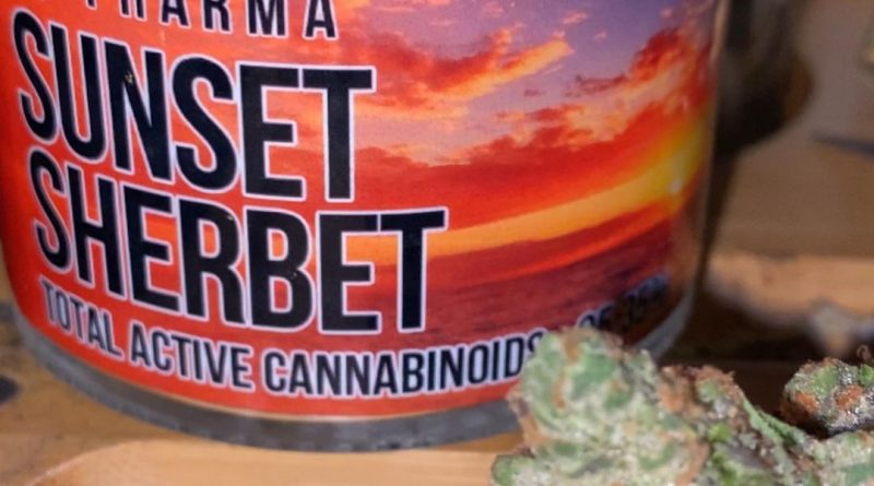 sunset sherbet by pearl pharma strain review by trunorcal420