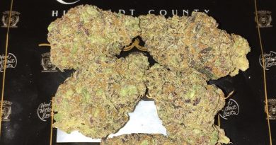 super kush mintz by lionboldt farms strain review by boofbusters420