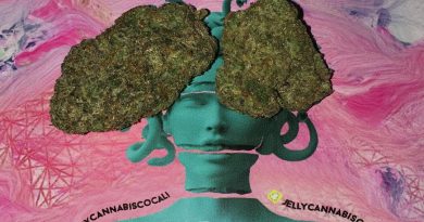 the other sister strain tos strain by jelly cannabis co strain review by boofbusters420