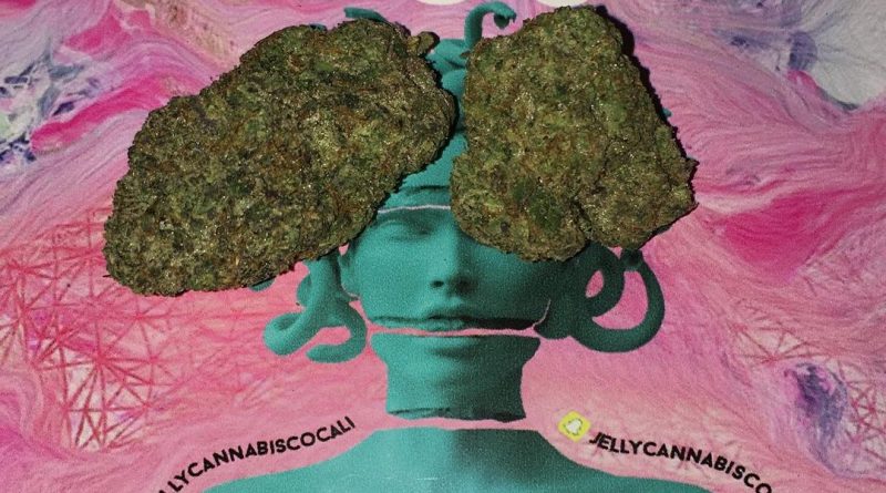 the other sister strain tos strain by jelly cannabis co strain review by boofbusters420