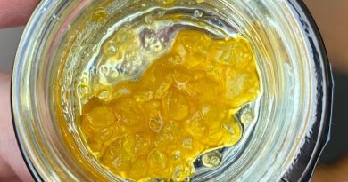 tk91 live resin by green dot labs concentrate review by austnpickett