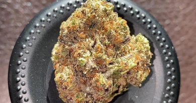 tropicanna breath #1 by natural alternatives strain review by no.mids