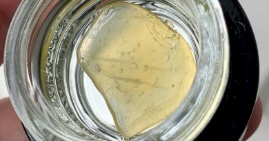 tropsanto #5 live rosin by leiffa concentrates dab review by austnpickett