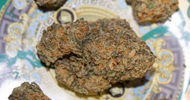verzace dizhezzz by jelly cannabis co strain review by bigwhiteash