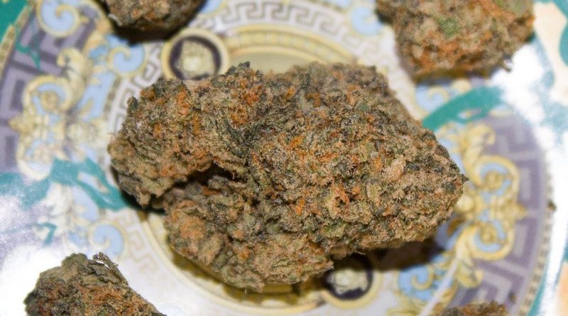 verzace dizhezzz by jelly cannabis co strain review by bigwhiteash