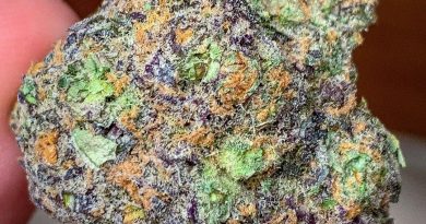 big smooth by flower bomb strain review by budfinderdc