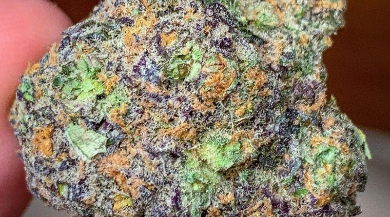 big smooth by flower bomb strain review by budfinderdc