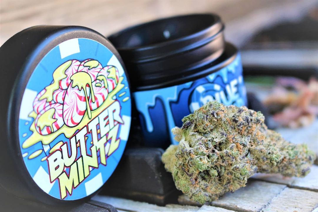 butter mintz by blue chip genetics strain review by cannasaurus_rex_reviews