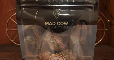 double up mintz by mad cow genetics strain review by can_u_smoke_test
