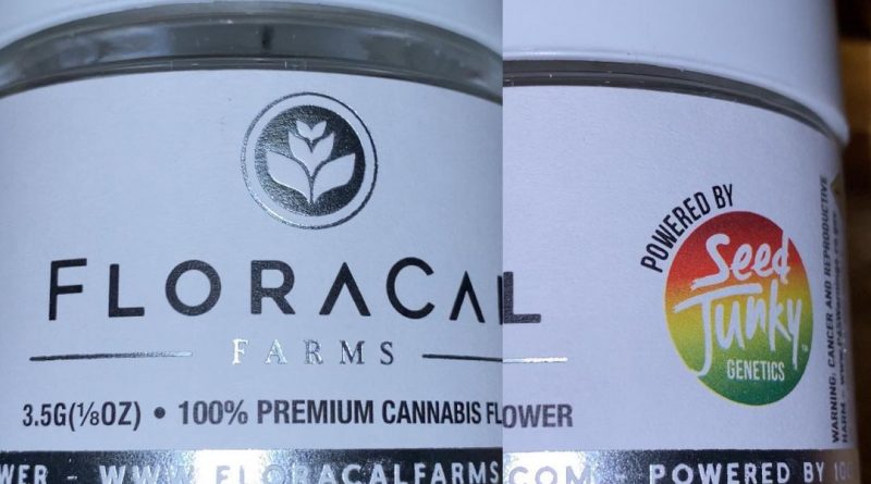 funnel cake by floracal strain review by trunorcal420