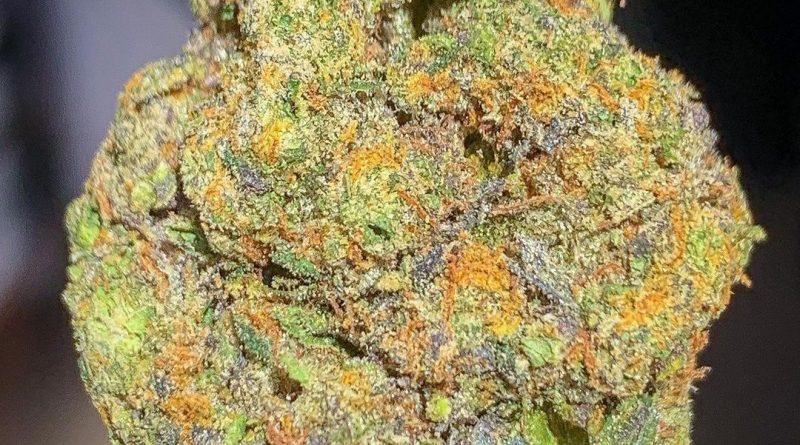 king's cake by flower bomb strain review by budfinderdc