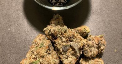 kush mint cookies by fig farms strain review by christianlovescannabis