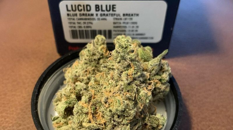 lucid blue by fig farms strain review by christianlovescannabis