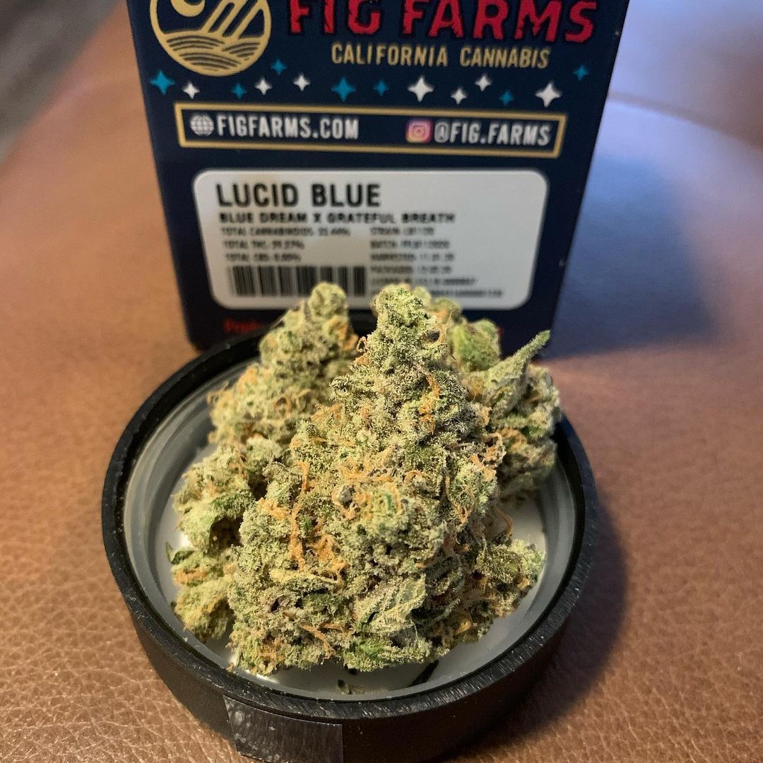 Strain Review Lucid Blue by Fig Farms The Highest Critic