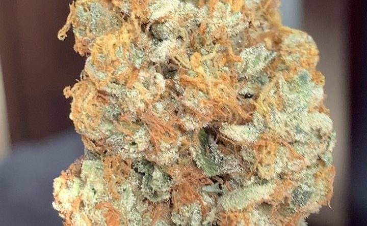 mandarin cookies by district florist strain review by budfinderdc