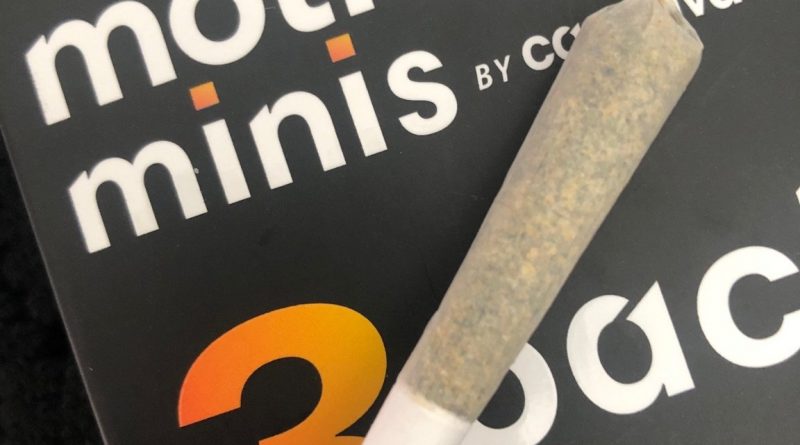 orange fruity pebbles og mini pre-roll by cannavative strain review by thehighestcritic
