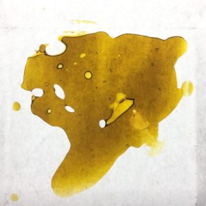 pablo escobar og shatter by rogue alchemy concentrate review by scubasteveoc 2
