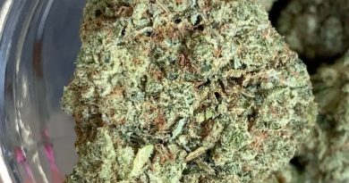 parlay og by parlay strain review by budfinderdc