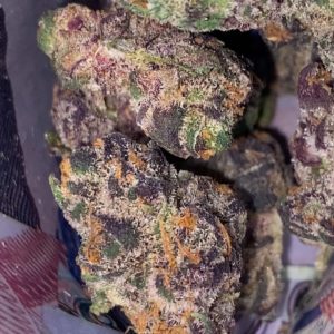 peanut butter bread by money trees strain review by trunorcal420 3