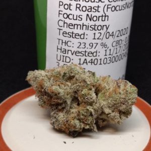 pot roast by focus north strain review by pdxstoneman 2