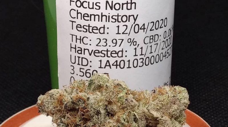 pot roast by focus north strain review by pdxstoneman