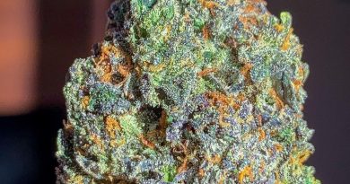 rusher'z by fidel's genetics strain review by budfinderdc
