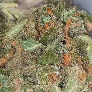 slymer splitter by pearl pharma strain review by trunorcal420 3