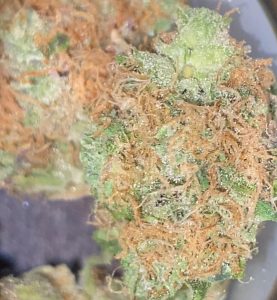 strawberry cheesecake by pearl pharma strain review by trunorcal420 3