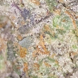 superfood by sf cultivators strain review by trunorcal420 3