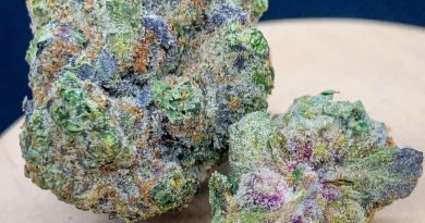 atomic apple by paramount fleur strain review by budfinderdc 2