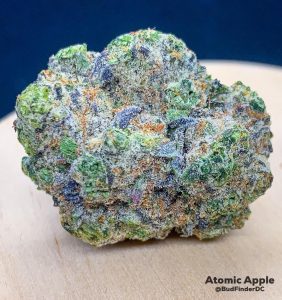 atomic apple by paramount fleur strain review by budfinderdc