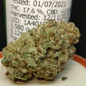 blueberry biscuits by biscuit boyz strain review by pdxstoneman 2