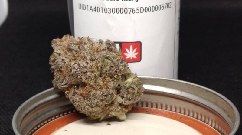 cannon beach cookies by oregrown strain review by pdxstoneman