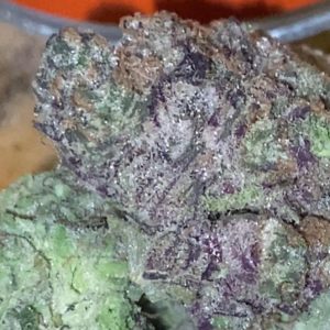 churros by seppy's nursery strain review by trunorcal420 3