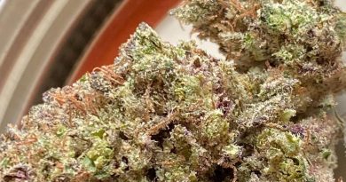 curacao og by afro genetics strain review by jean_roulin_420