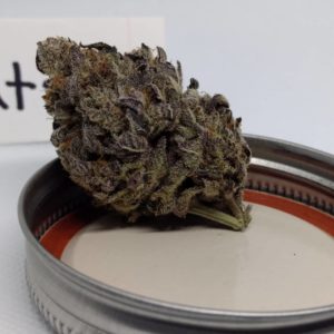 gatsby by strains strain review by pdxstoneman 2