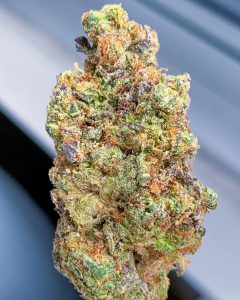 gmo cookies by farmer's choice strain review by budfinderdc 2