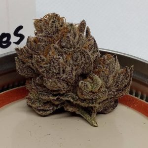 Strain Review: Gucci Berries by DogHouse - The Highest Critic