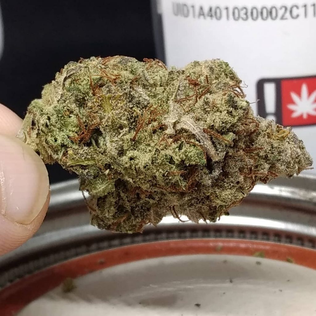 old time indiana bubble gum strain