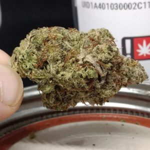 indiana bubble gum by white wolf cannabis strain review by pdxstoneman 2