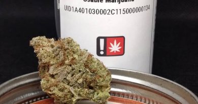 indiana bubble gum by white wolf cannabis strain review by pdxstoneman