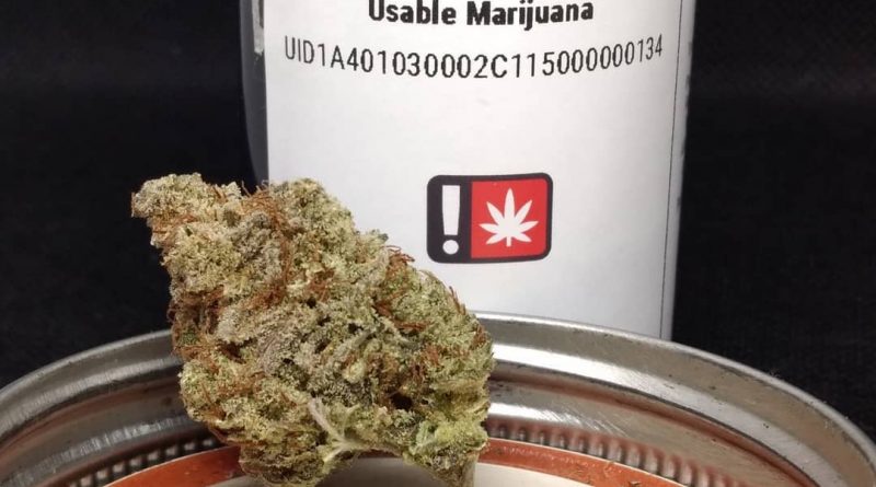 indiana bubble gum by white wolf cannabis strain review by pdxstoneman
