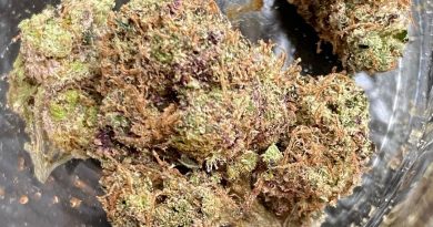 triple og purple pheno by afro genetics strain review by jean_roulin_420 2