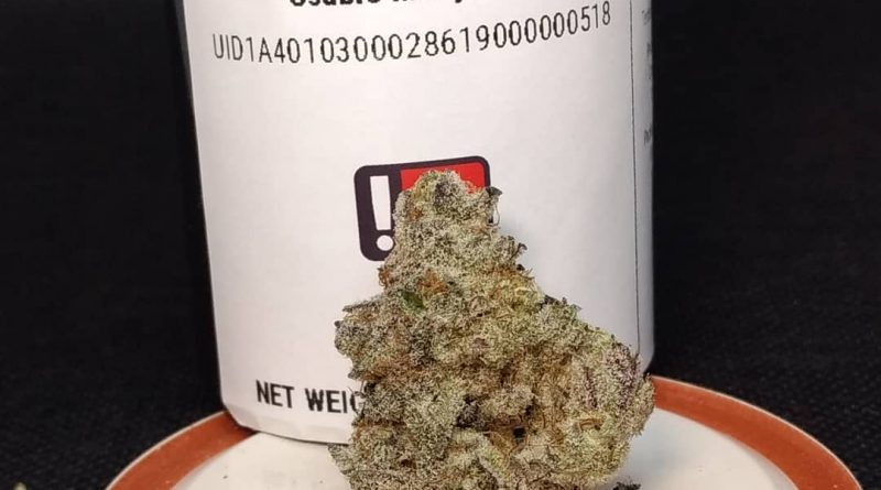 unicorn poop by focus north gardens strain review by pdxstoneman