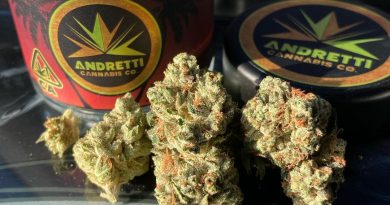 andretti og by andretti canna co strain review by sjweed.review