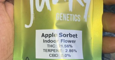 apple sorbet by seed junky genetics strain review by sjweed.review